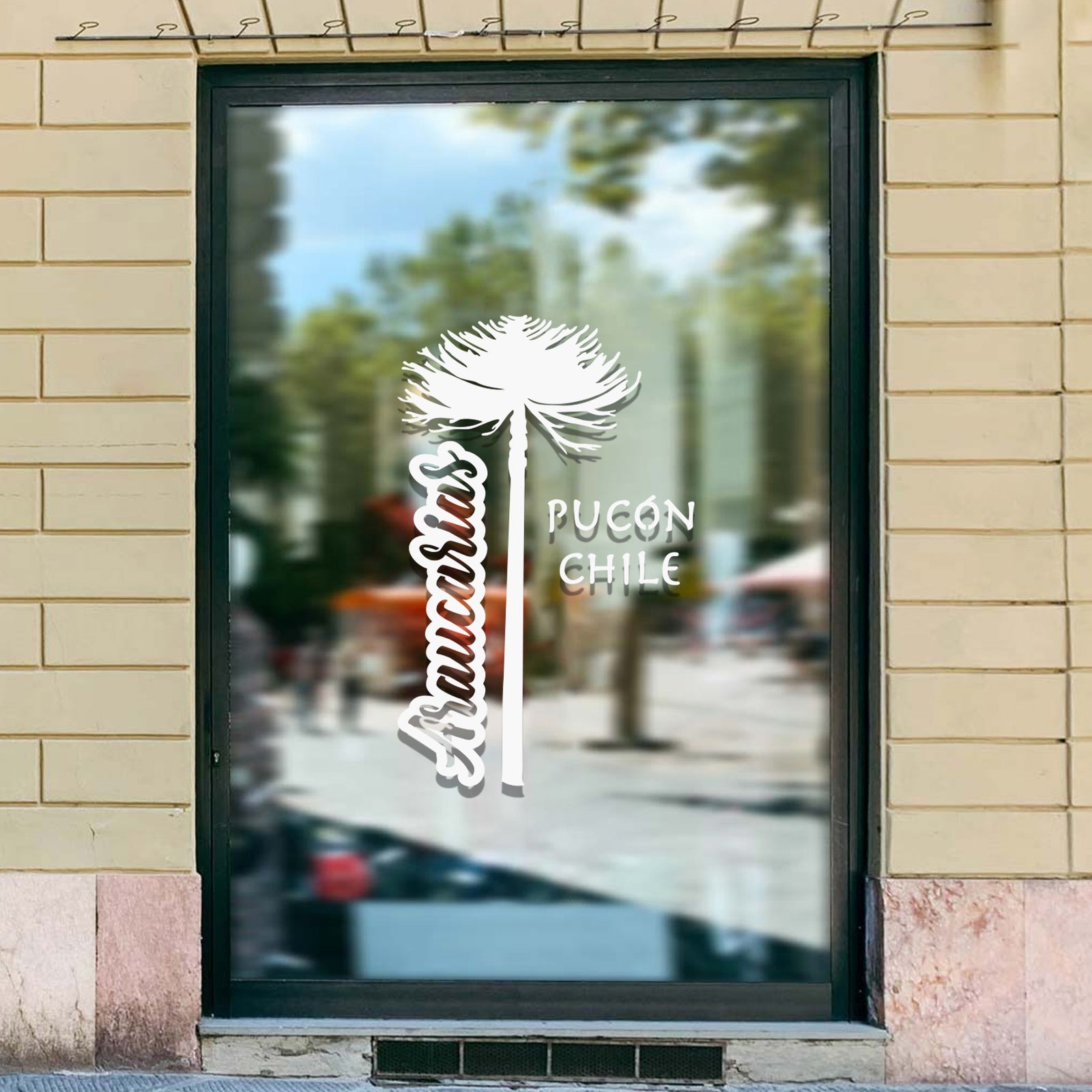 Adhesivo Araucaría Pucón