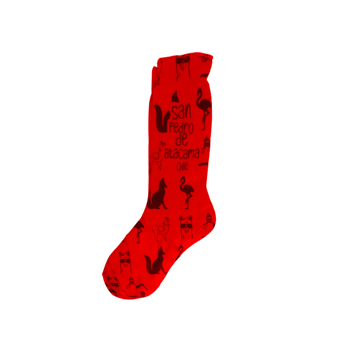 Calceta San Pedro de Atacama