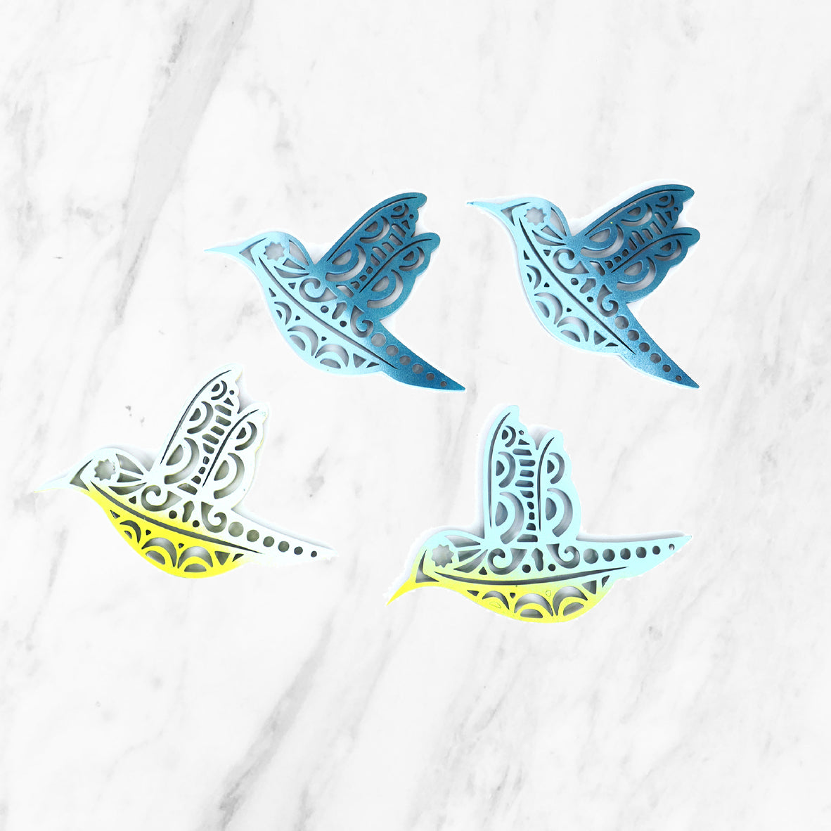 Pack colibrí 100 unidades