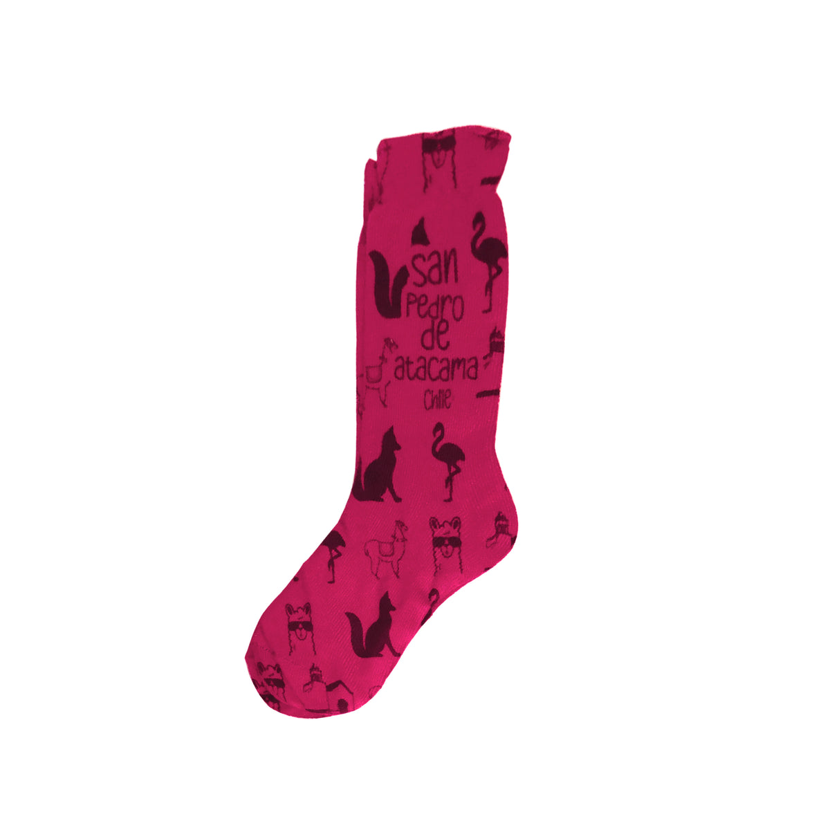 Calceta San Pedro de Atacama